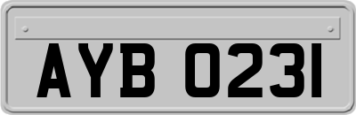 AYB0231