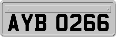 AYB0266