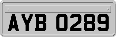 AYB0289