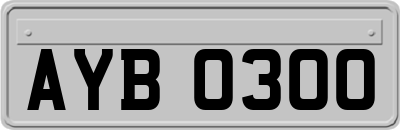 AYB0300