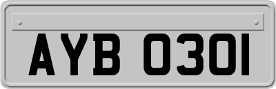 AYB0301
