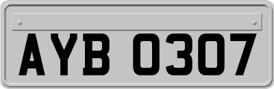 AYB0307