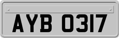 AYB0317