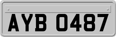 AYB0487