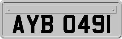AYB0491
