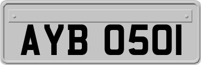 AYB0501