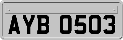 AYB0503