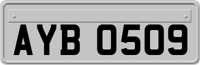 AYB0509