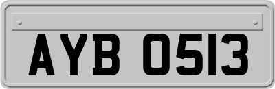 AYB0513