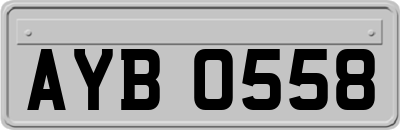 AYB0558