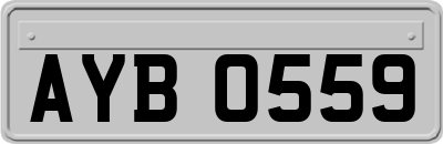 AYB0559