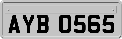 AYB0565