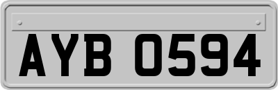 AYB0594