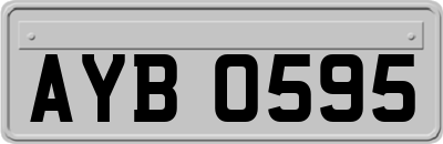 AYB0595