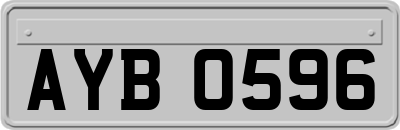 AYB0596