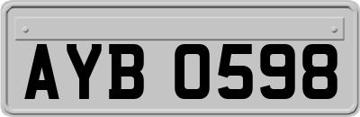 AYB0598
