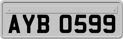 AYB0599