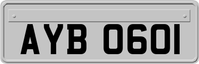 AYB0601