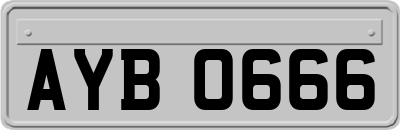 AYB0666