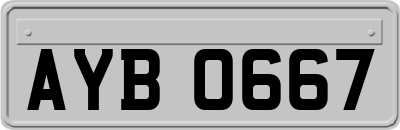 AYB0667