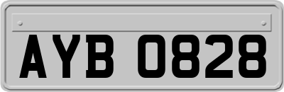 AYB0828