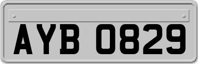 AYB0829