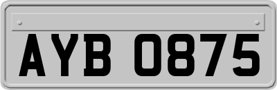 AYB0875