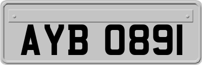 AYB0891
