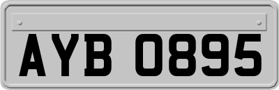 AYB0895