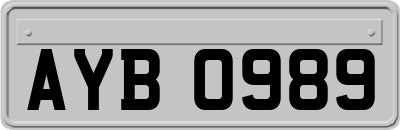 AYB0989