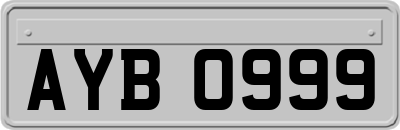 AYB0999