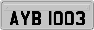 AYB1003