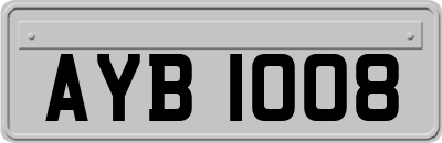 AYB1008
