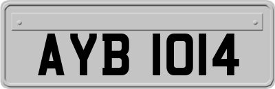 AYB1014
