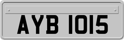 AYB1015