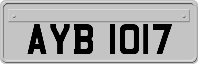 AYB1017