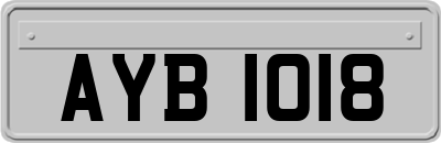 AYB1018