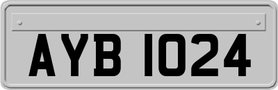 AYB1024