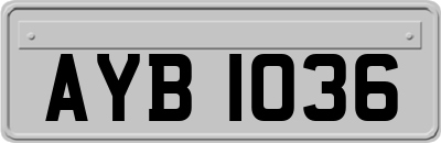 AYB1036