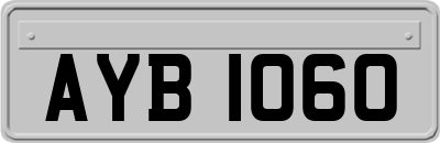 AYB1060