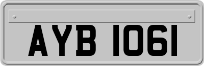 AYB1061