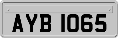 AYB1065