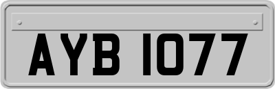 AYB1077