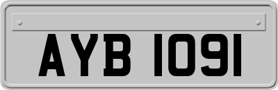 AYB1091