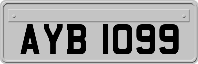 AYB1099