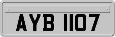 AYB1107