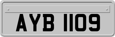 AYB1109