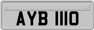 AYB1110