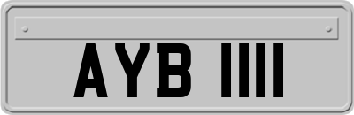 AYB1111