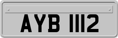 AYB1112
